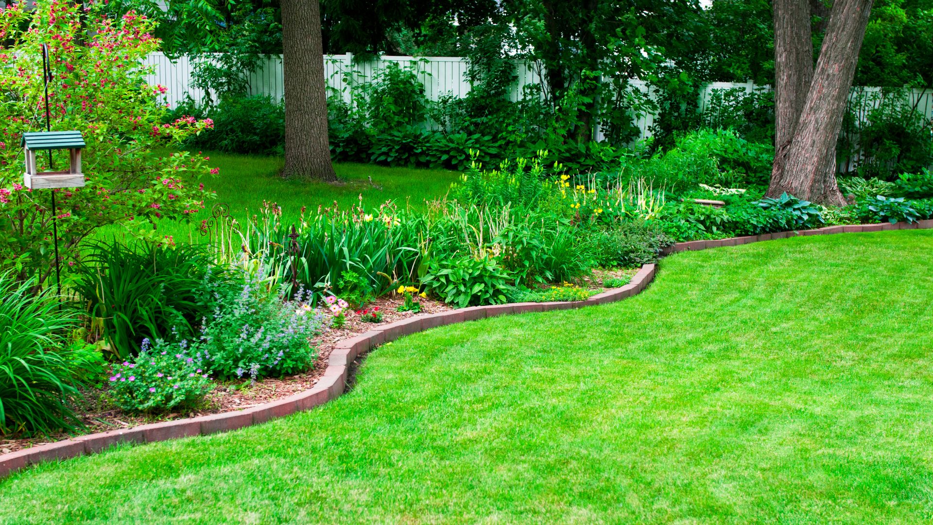 A lush green yard with a bench and trees