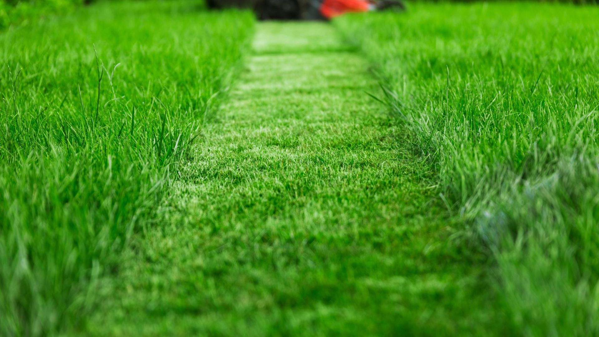 A green lawn with a red lawn mower on it
